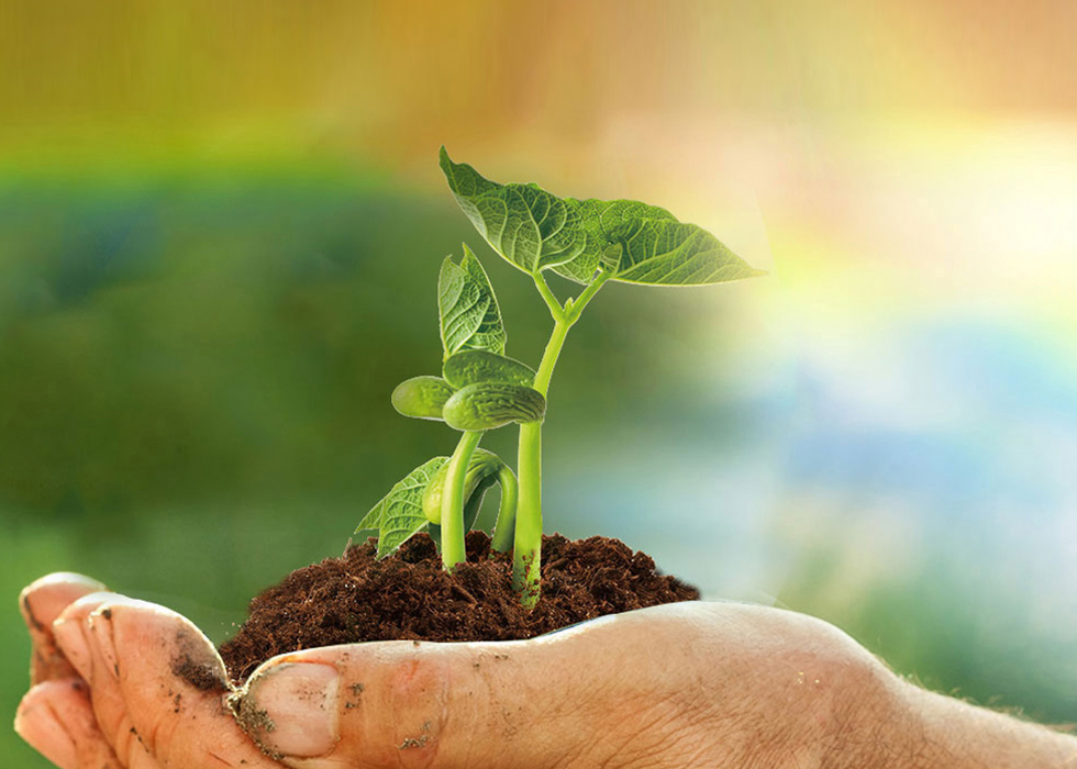 365Ó¢¹úÉÏÊÐ(¼¯ÍÅ)ÓÐÏÞ¹«Ë¾-Official website