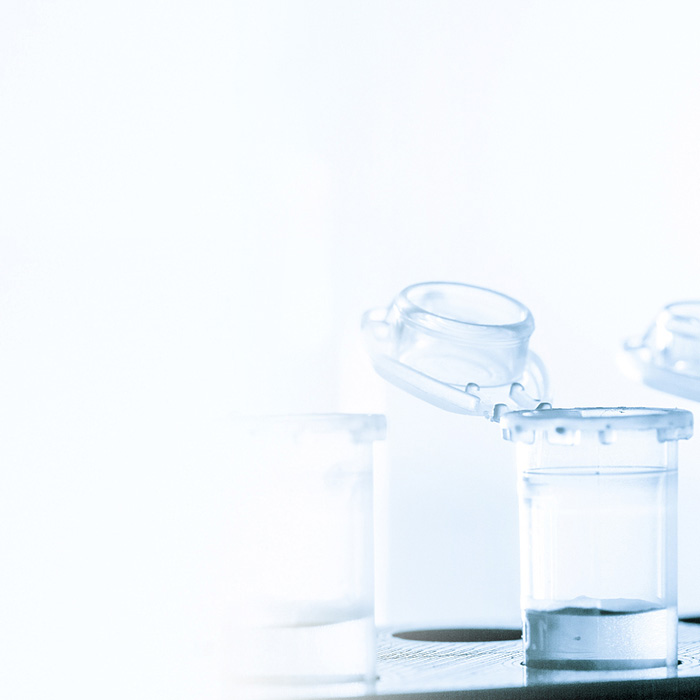 365Ó¢¹úÉÏÊÐ(¼¯ÍÅ)ÓÐÏÞ¹«Ë¾-Official website