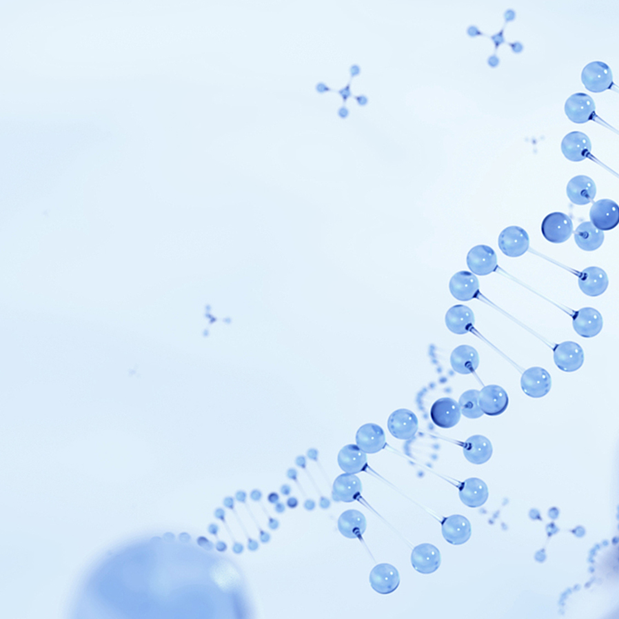 365Ӣ()޹˾-Official website