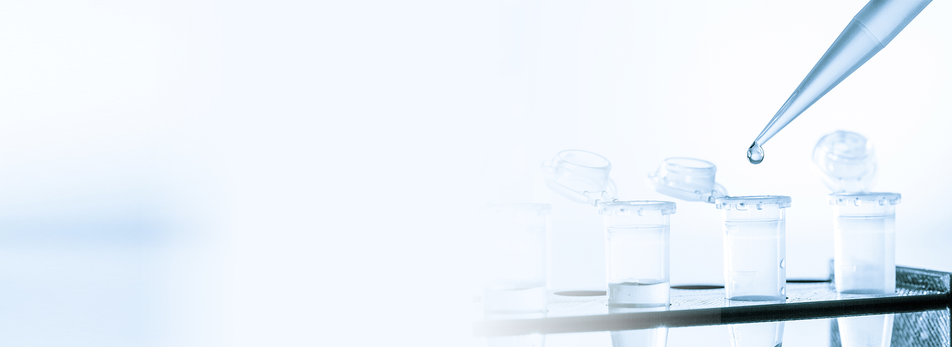 365Ó¢¹úÉÏÊÐ(¼¯ÍÅ)ÓÐÏÞ¹«Ë¾-Official website